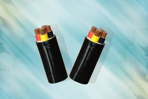 Dây cáp điện hạ thế CVV ­− 0,6/1 KV
