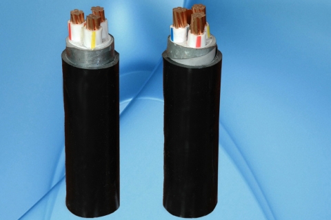 Dây cáp điện hạ thế CVV/DATA − 0,6/1 kV & CVV/DSTA − 0,6/1 kV
