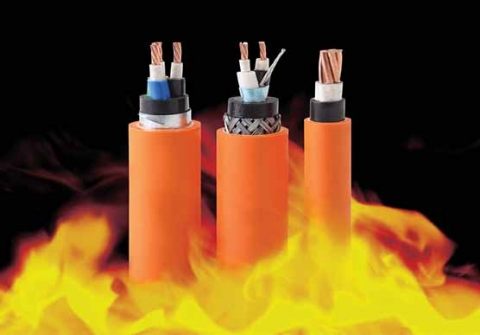 Dây cáp điện chống cháy CXV/FRT – 0,6/1kV