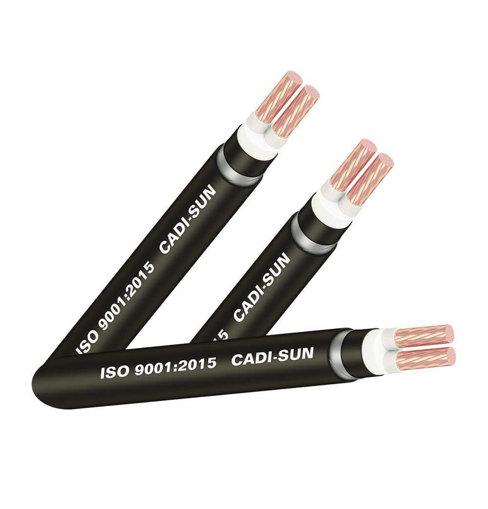 Cáp đồng ngầm 2 ruột - DSTA 2X