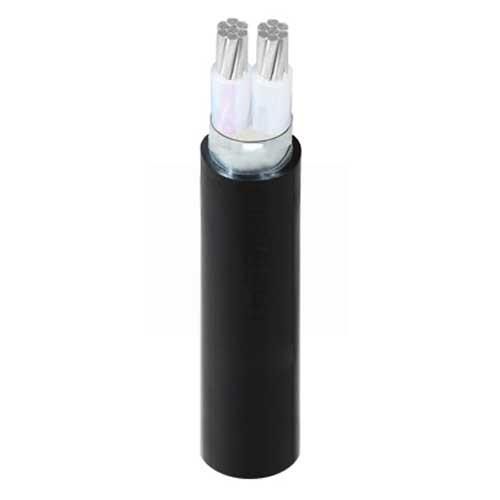 Cáp điện lực hạ thế AXV/DSTA 2*xx - 0.6/1kV - TCVN5935