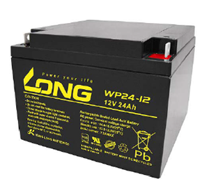 Bình ắc quy Long 12V24Ah (WP24-12; WP24-12N)
